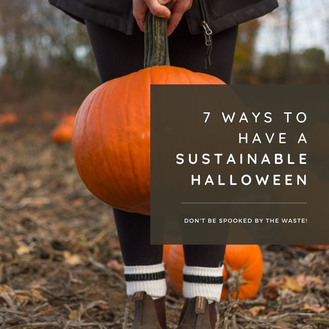 An Eco-Friendly Halloween Is Possible! – Net Zero Co.