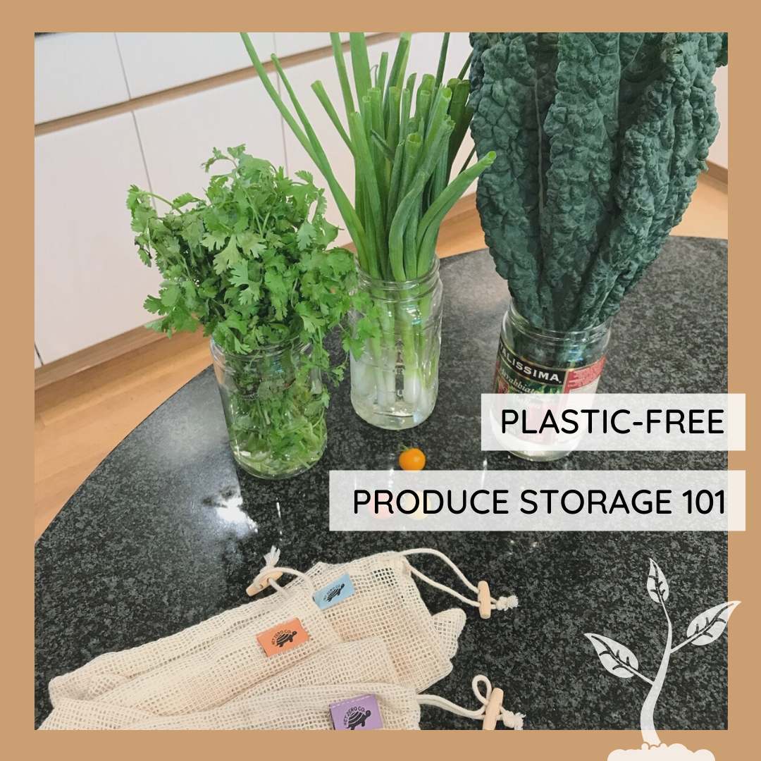 https://www.netzerocompany.com/cdn/shop/articles/How_to_Store_3_1080x.jpg?v=1573086892